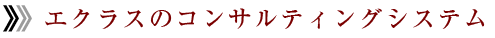 エクラスのコンサルティングシステム